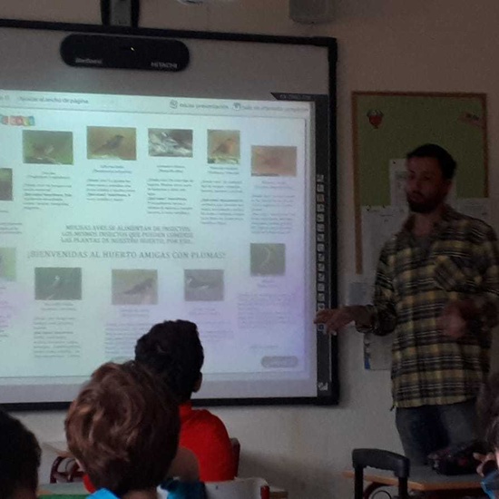 2019_01_27_4º realiza semilleros para pajaros_CEIP FDLR_Las Rozas 4