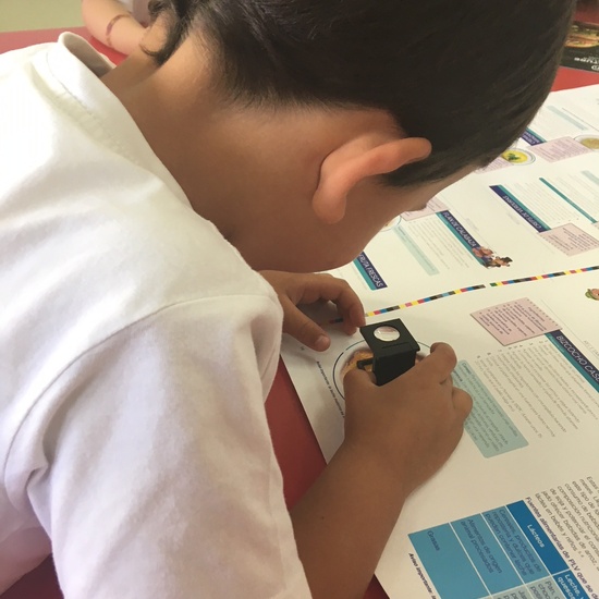 2018_06_25_Los pulpos disfrutan de un taller de libros 10