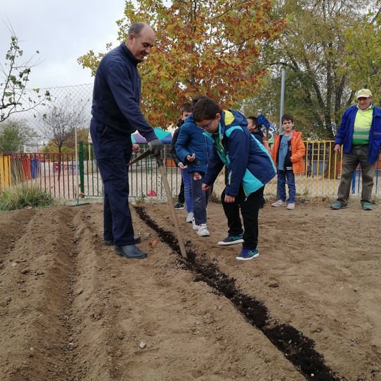 Huerto escolar 2019/20 46