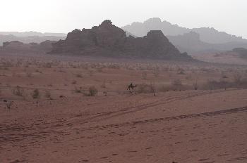 Desierto de Wadi Rum, Jordania