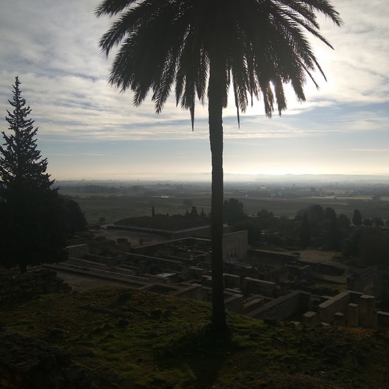 Viaje a Granada y Córdoba 2019 22