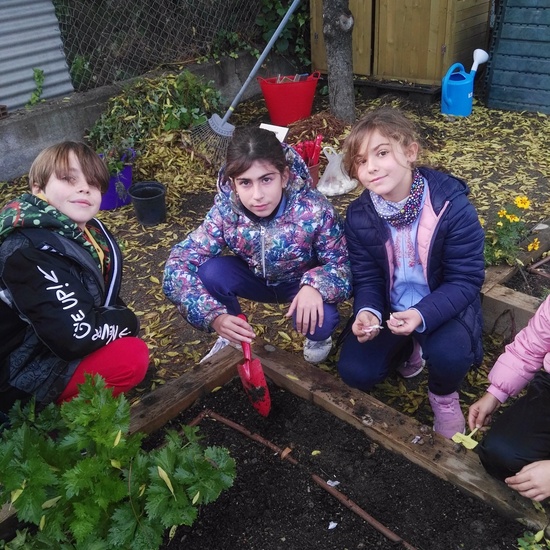 2019_05_El huerto del cole no para...CEIP FDLR_Las Rozas 11