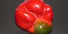 Pimiento