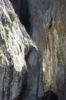 Barranco Mortitx, Mallorca