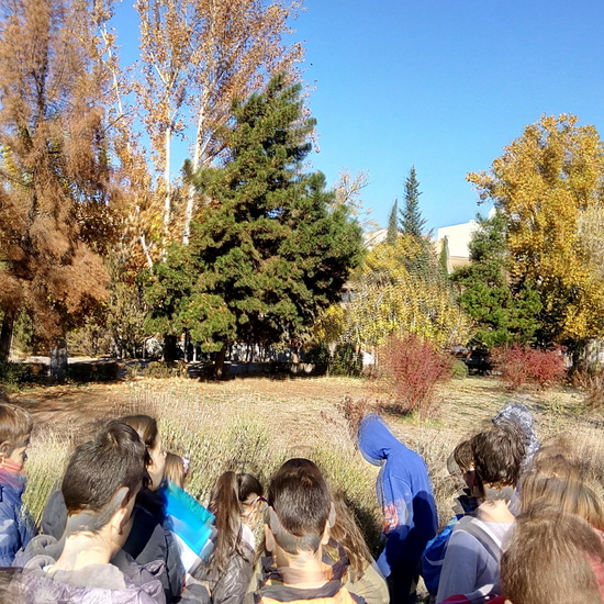 VISITA CARABANCHEL. 6º 16