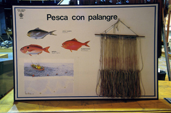 Artes de pesca: palangre, Museo Marítimo de Asturias, Luanco