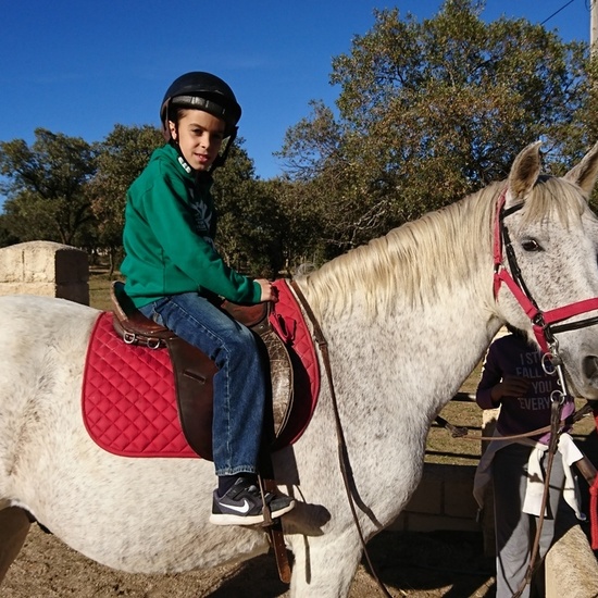 Mohernando 2017_2 19