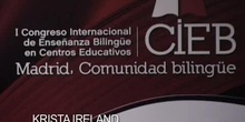 Mesa de comunicación: CLIL and Complexity Theory