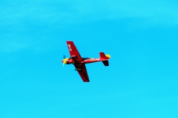 Ala recta con estrechamiento