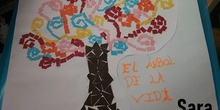 Mosaicos romanos - 3º primaria 5