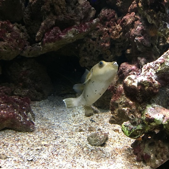 Faunia: taller y visita guiada 2