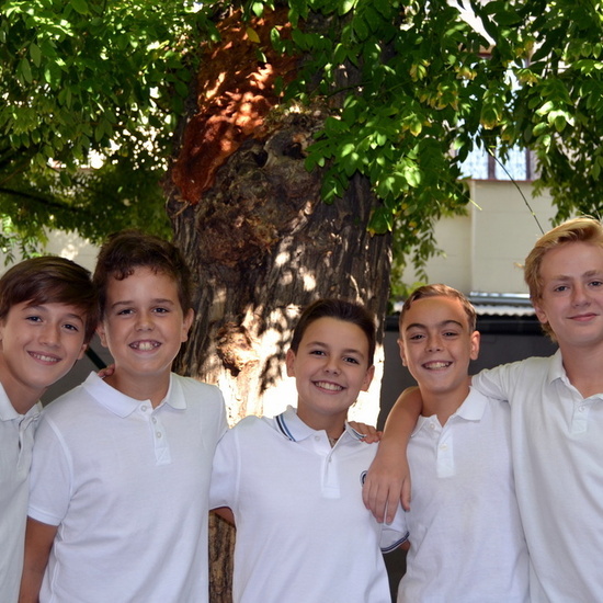 Bienvenidos al curso 2017-18 32