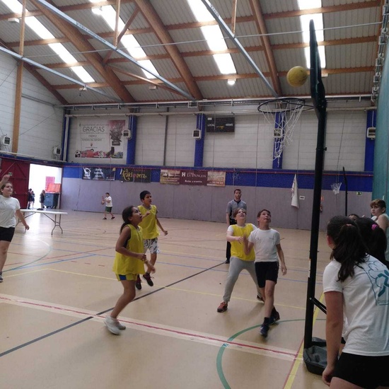 IV Olimpiada escolar Alcorcón 4