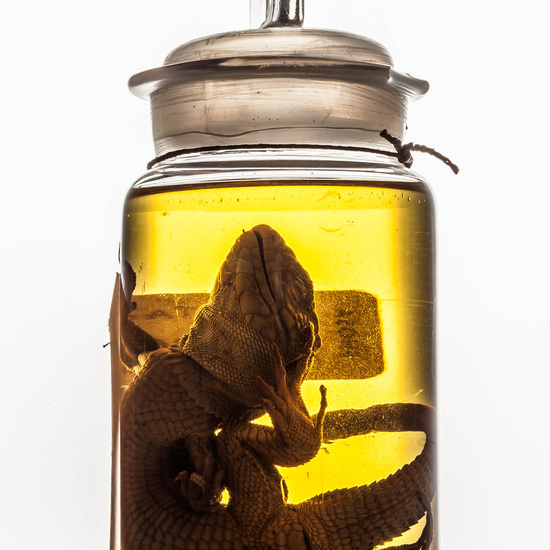 IES_SANISIDRO_MUSEO_BOTES_033