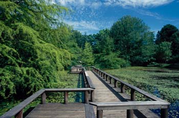 Parque en Vancouver, Canadá