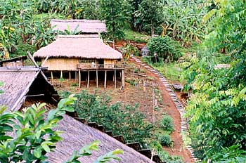 Casas sobre pilares en jungla, Tailandia
