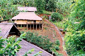 Casas sobre pilares en jungla, Tailandia