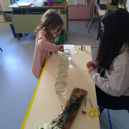 JORNADAS TEMÁTICAS 2021 