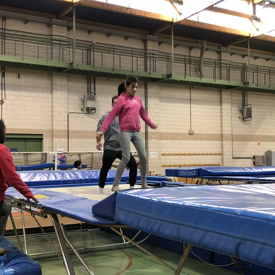 Gimnasia de trampolín 11