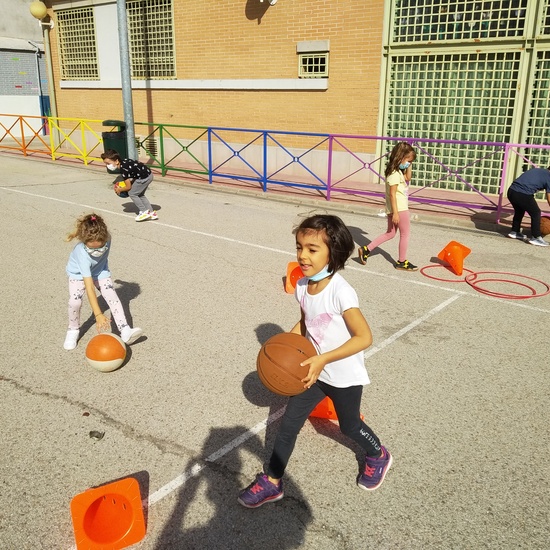 Visita basket sanfer primero B 6