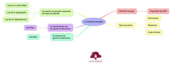 BIO_LA HERENCIA BIOLÓGICA_S4