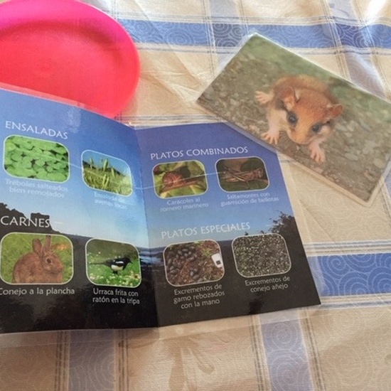 Centro de Interpretación de la Naturaleza. Montecarmelo. 6º curso. 2