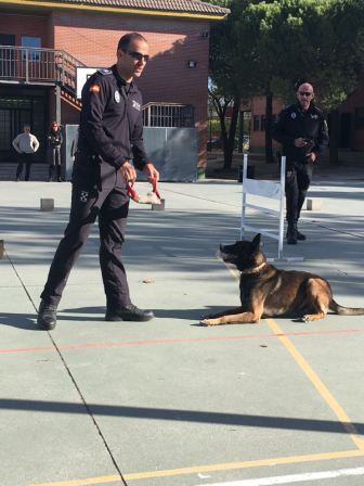 La Unidad Canina de la Policia Municipal de Las Rozas visita el cole_2_CEIP FDLR_Las Rozas_2017  2
