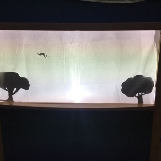 Gymkana de cuentos 7