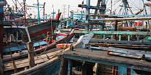 Barcos pesqueros, Jakarta