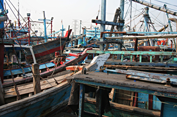 Barcos pesqueros, Jakarta