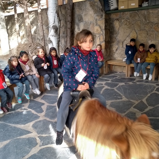 Granja de los Cuentos Infantiles II 36