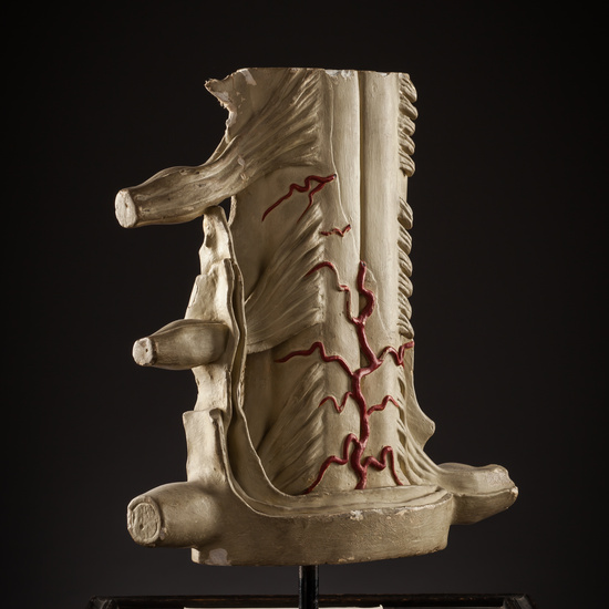 IES_SANISIDRO_BIOLOGIA_260