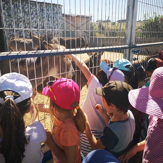 1º A BURROLANDIA 13