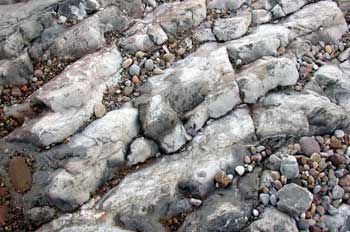 Rocas silíceas