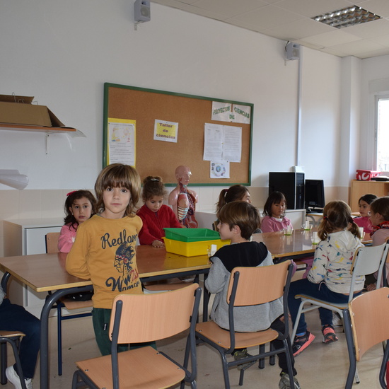 Taller de ciencias con padres 11