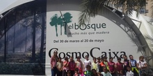 Visita a la exposición El Bosque. 1º 2º Primaria. CEIP Pinocho. 2016/17 27