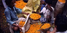 Venta de flores al peso, Calcuta, India