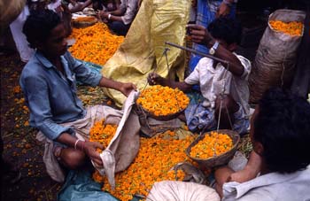 Venta de flores al peso, Calcuta, India