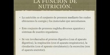 6º naturales la función de nutrición, el aparato circulatorio 