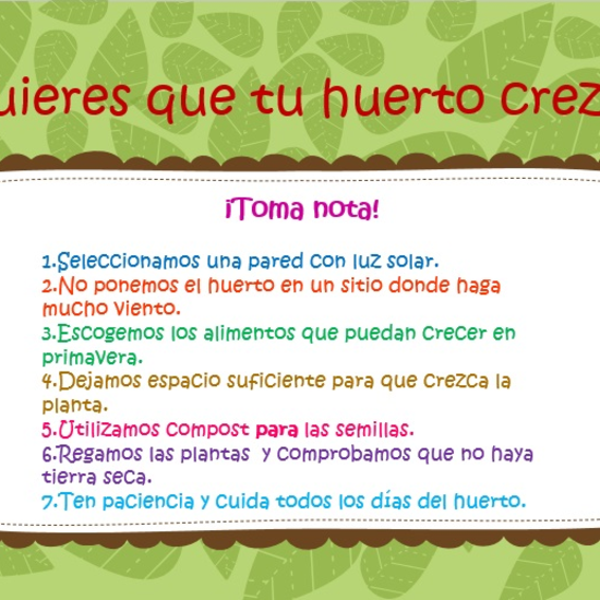 Huerto vertical, aspectos necesarios