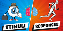 STIMULI and RESPONSES | Types | Interaction - Primary Education Grade 5-6 | Elementary | Kids