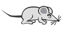Ratón asustado