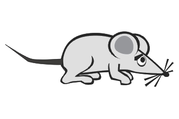 Ratón asustado