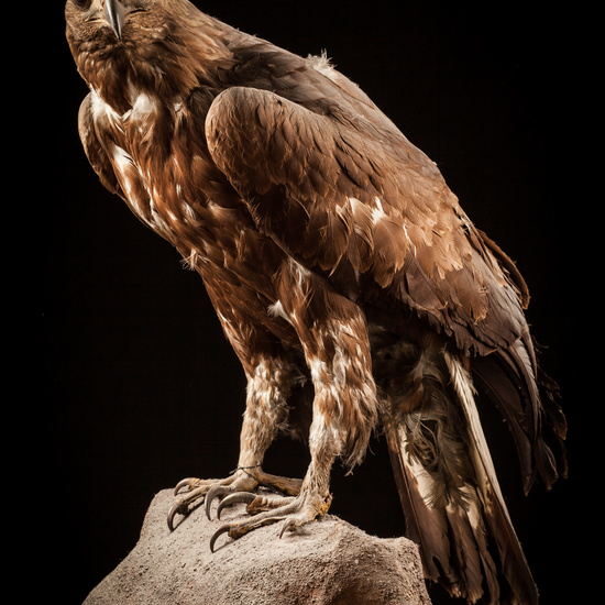 IES_CERVANTES_BIOLOGIA_070