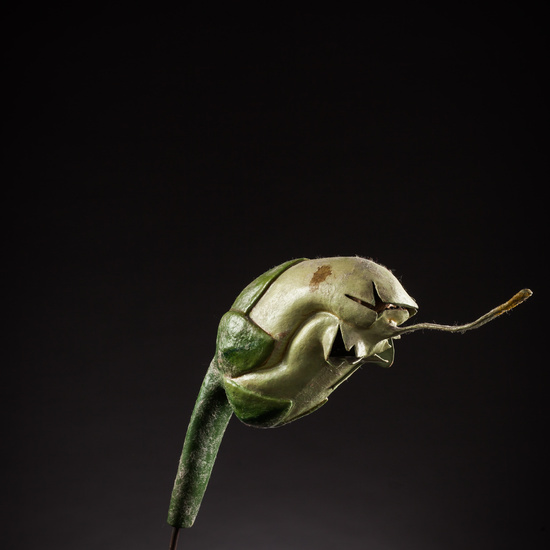 IES_ISABELLACATOLICA_BIOLOGIA_084