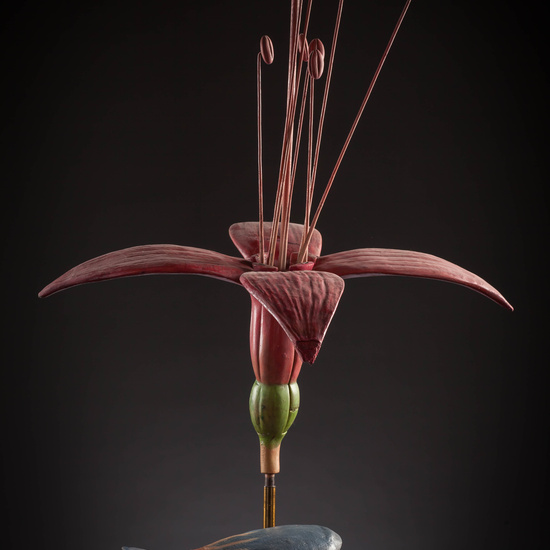 IES_CARDENALCISNEROS_BOTANICA_III_MODELOS_052