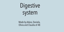 DIGESTIVE SYSTEM 2