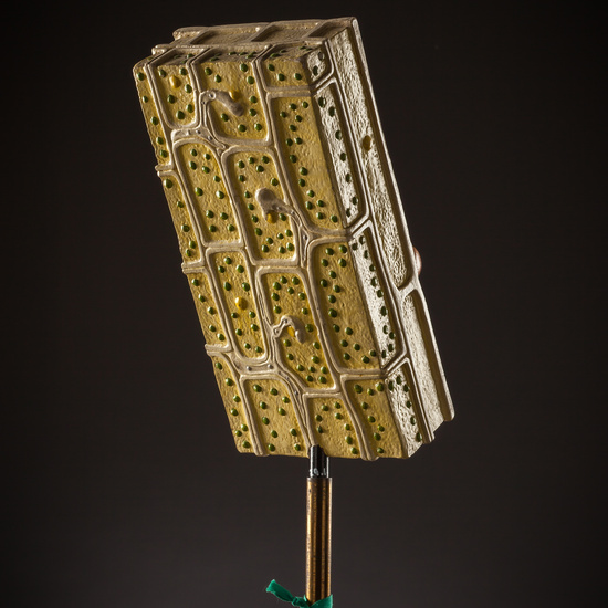 IES_SANISIDRO_BIOLOGIA_235