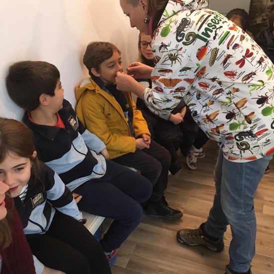 2020_02_27_3º visita Insectpark (2)_CEIP FDLR_Las Rozas 1