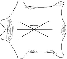 Dirección de corte para nappa